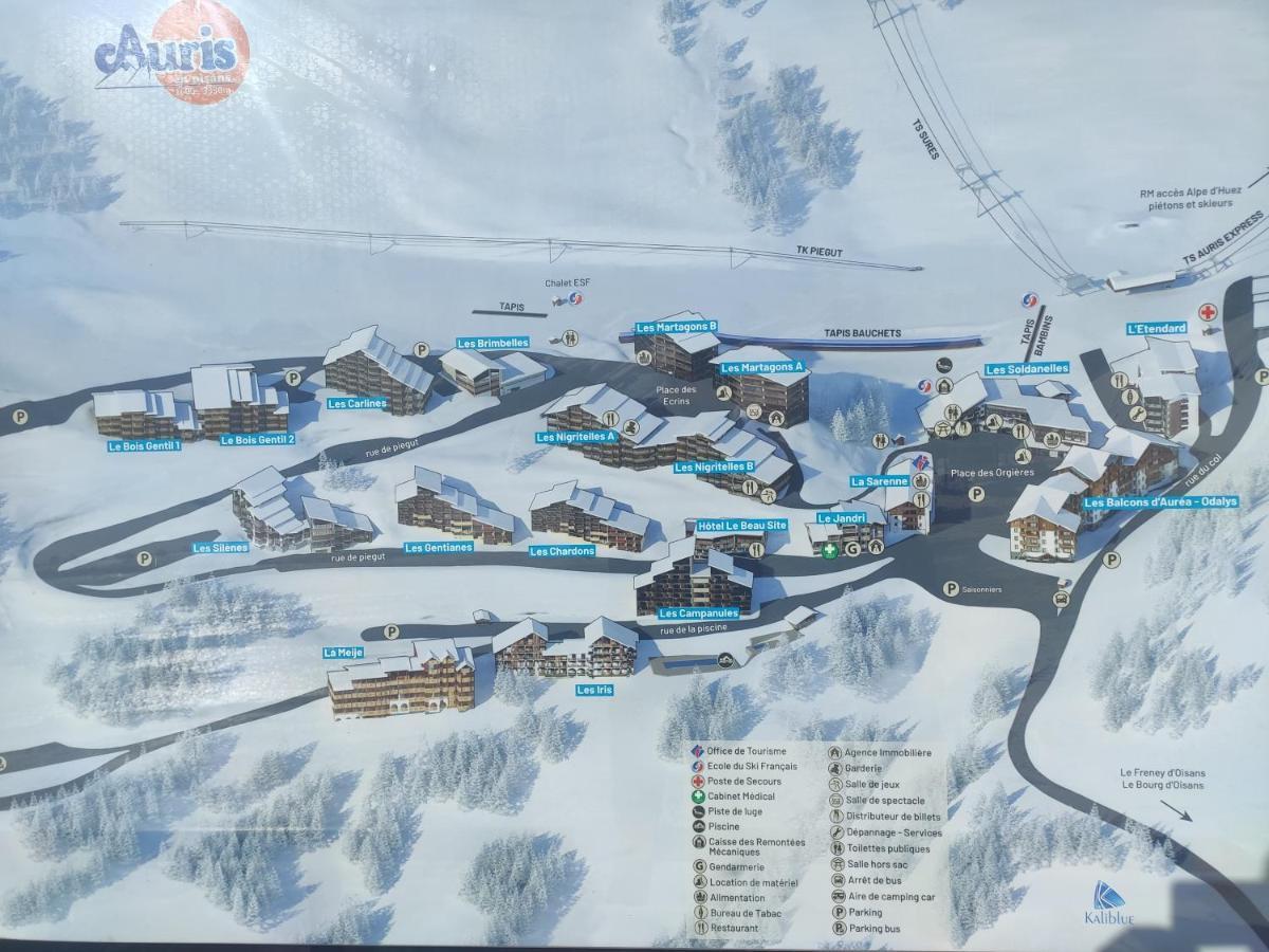 Appartamento Les Iris T2 Station Alpe Huez Auris Esterno foto